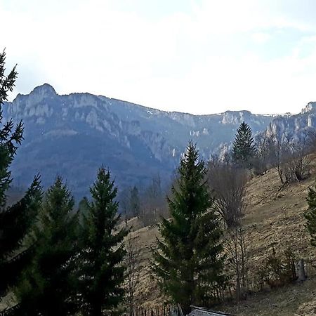 Pensiunea Bobu Hotel Békási-víztározó Kültér fotó