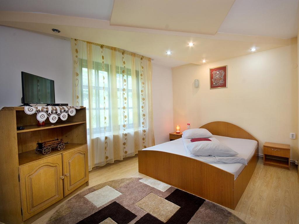Pensiunea Bobu Hotel Békási-víztározó Kültér fotó