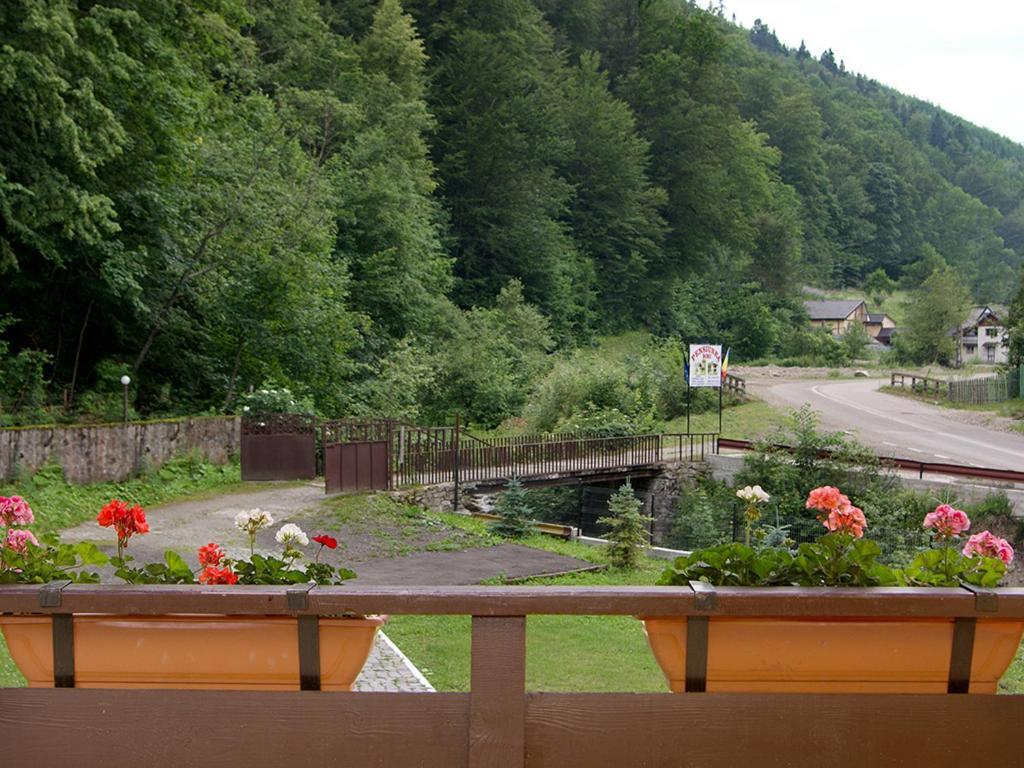 Pensiunea Bobu Hotel Békási-víztározó Kültér fotó