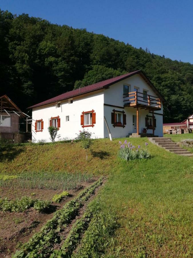 Pensiunea Bobu Hotel Békási-víztározó Kültér fotó