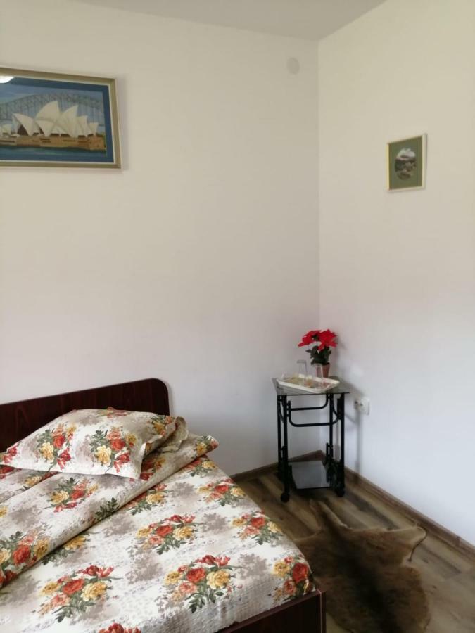 Pensiunea Bobu Hotel Békási-víztározó Kültér fotó