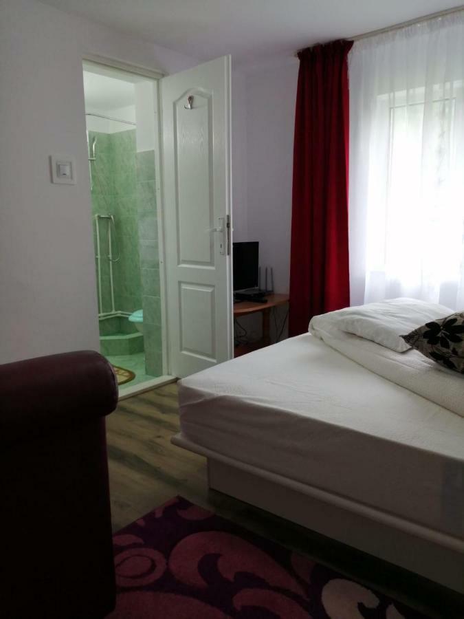 Pensiunea Bobu Hotel Békási-víztározó Kültér fotó