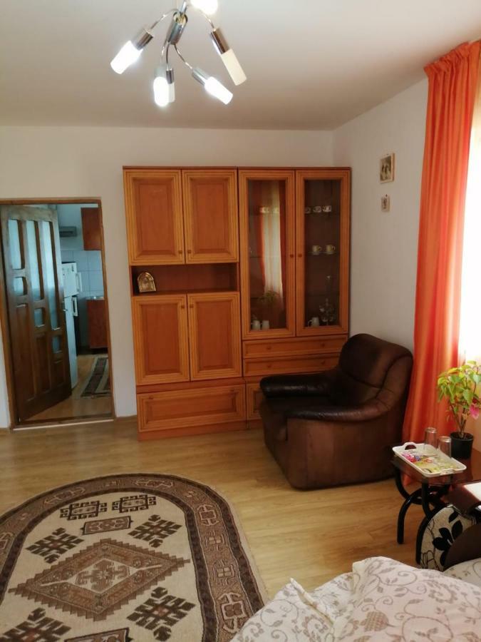 Pensiunea Bobu Hotel Békási-víztározó Kültér fotó