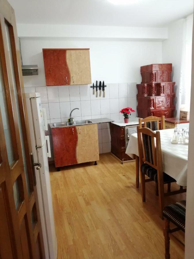 Pensiunea Bobu Hotel Békási-víztározó Kültér fotó