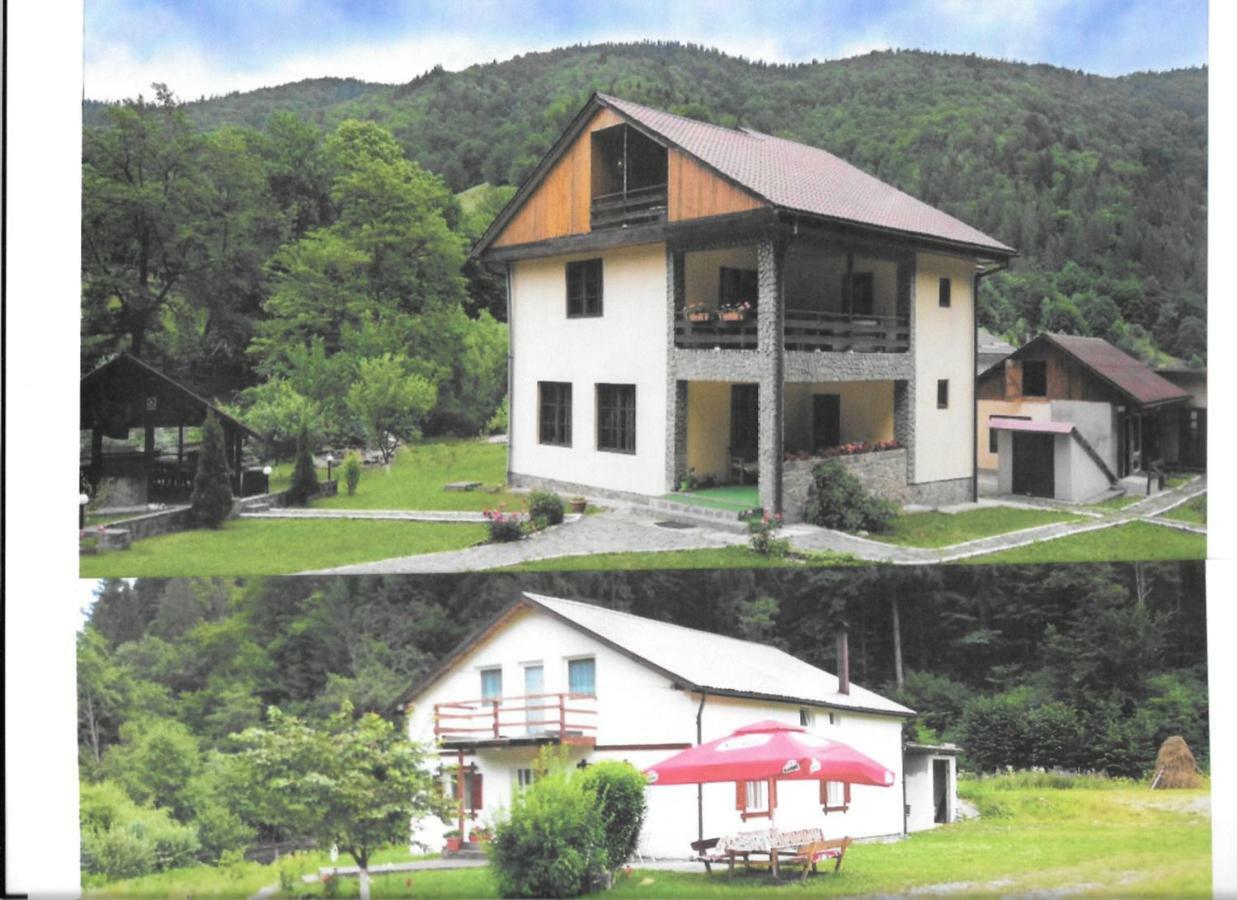 Pensiunea Bobu Hotel Békási-víztározó Kültér fotó