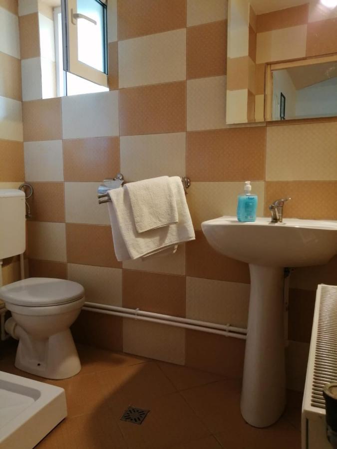 Pensiunea Bobu Hotel Békási-víztározó Kültér fotó