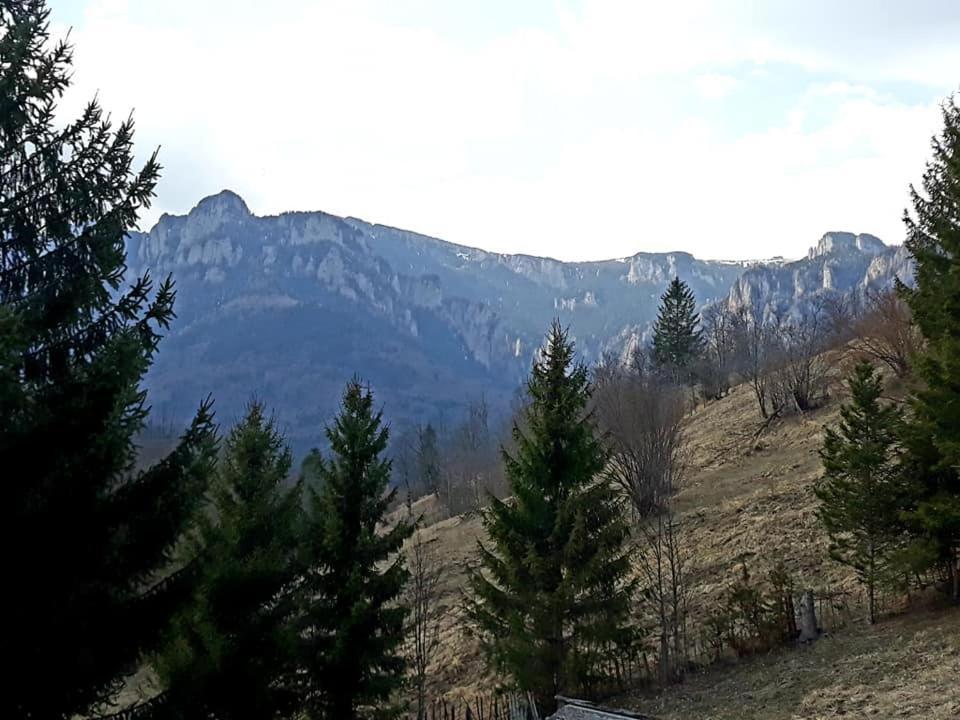 Pensiunea Bobu Hotel Békási-víztározó Kültér fotó